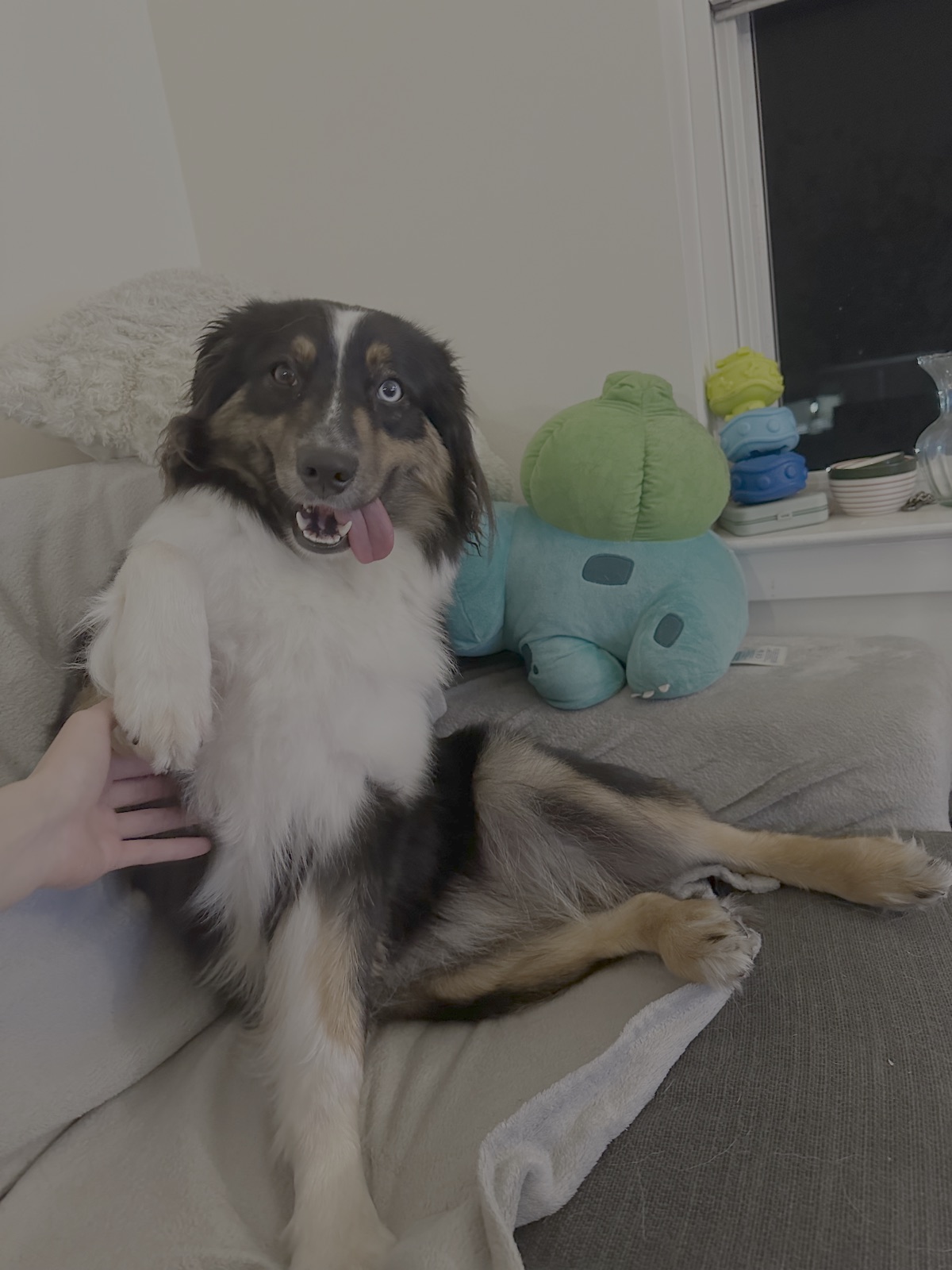 Molly sitting on the couch beside a Bulbasaur plush