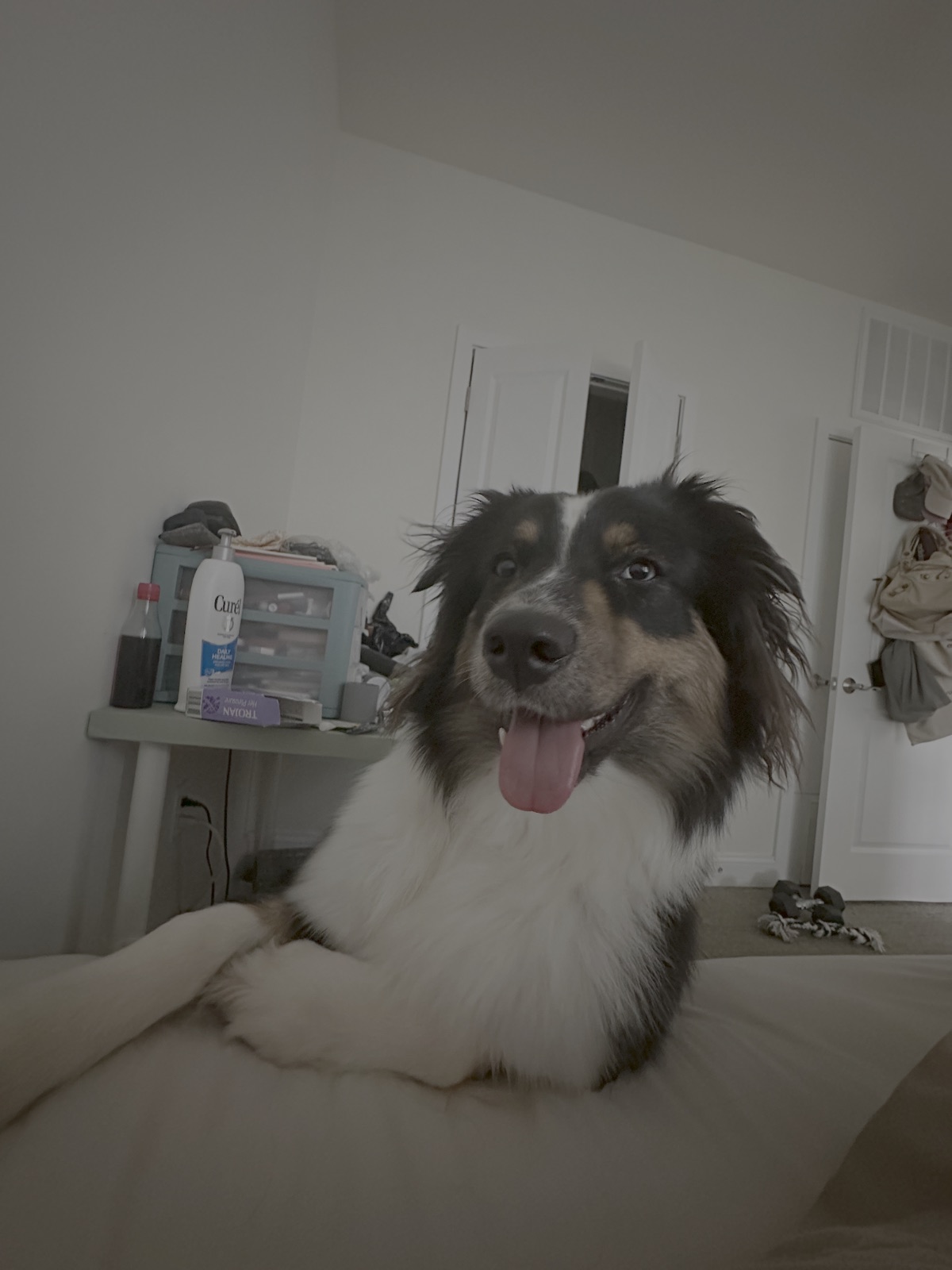 Molly smiling while relaxing on the bed